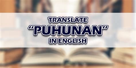 puhunan in english|turn on translation in facebook.